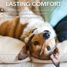 Load image into Gallery viewer, Vet’s Best Dog Hot Spot Itch Relief Spray | Relieves Dog Dry Skin, Rash, Scratching, Licking, Itchy Skin, and Hot Spots | No-Sting and Alcohol Free | 8 Ounces