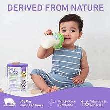 Load image into Gallery viewer, Aussie Bubs Grass Fed Nutritional Milk-based Toddler Formula, Powder, 28.2 oz (1 Can)