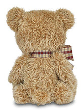 Load image into Gallery viewer, Bearington Baby Shaggy Brown Plush Stuffed Animal Teddy Bear, 11 inches
