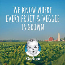 Load image into Gallery viewer, Gerber Baby Food 2nd Foods Blends, Banana & Mixed Berry Puree, Wonderfoods, Natural & Non-GMO, 4 Ounce Tubs, 2-Pack (Pack of 8)