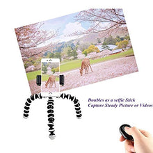 Load image into Gallery viewer, DAISEN Phone Tripod, Flexible Octopus Cell Phone Tripod for iPhone, Android Smartphone and Camera with Universal Phone Holder and Bluetooth Remote Control