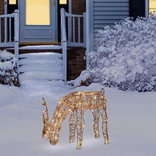 Load image into Gallery viewer, Alpine Corporation Outdoor/Indoor Rattan Grazing Reindeer with Lights - Christmas and Holiday Decoration for Yard - 24-Inches