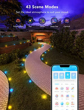 Load image into Gallery viewer, Govee Outdoor Ground Lights Bundle with Govee 169ft Bluetooth Meat Thermometer for Outdoor