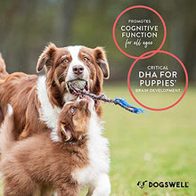 Load image into Gallery viewer, DOGSWELL Supplement Bundle - Wild Alaskan Salmon Oil, 32oz + Hip & Joint Soft Chews, 1 Pound