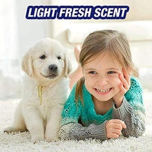 Load image into Gallery viewer, Resolve Ultra Pet Stain & Odor Remover Spray, 32oz