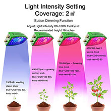 Load image into Gallery viewer, CWH&WEN LED Plant Grow Light, 1100W LED Grow Lamp with Red Blue IR Light Full Spectrum for Indoor/Grow Box/Greenhouse Hydroponic Veg Flower Growth