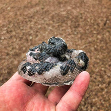Load image into Gallery viewer, Morganite, Hypersthene, Danburite and Clear Quartz Orgone and Crystal Intuition Snake #8-56