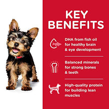 Load image into Gallery viewer, Hill's Science Diet Dry Dog Food, Puppy, Small Paws, Chicken Meal, Barley & Brown Rice Recipe, 15.5 lb Bag