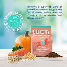 Load image into Gallery viewer, Lucy Pet Products Formulas for Life - Sensitive Stomach & Skin Dry Cat Food, All Breeds & Life Stages - Salmon, Pumpkin, & Quinoa, 4 LB Bag