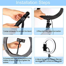 Load image into Gallery viewer, Selfie Ring Light with Tripod Stand, 10.2" Desktop LED Makeup Ring Light, Phone Holder for YouTube Video, Live Stream, Shooting, Dimmable Selfie Ring Light with 3 Light Modes & 14 Brightness Level