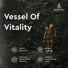 Load image into Gallery viewer, Ancestral Supplements Blood Vitality, Grass Fed Beef Liver, Spleen & Blood Supplements Support Blood, Iron & Immune Health, Promotes Increased Energy & Exercise Performance, Non-GMO, 180 Capsules