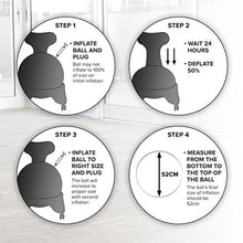 Load image into Gallery viewer, Gaiam Classic Backless Balance Ball Chair – Exercise Stability Yoga Ball Premium Ergonomic Chair for Home and Office Desk with Air Pump, Exercise Guide and Satisfaction Guarantee, Green