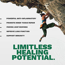 Load image into Gallery viewer, Tribe Organics, 420mg Boswellia Complex for Joint Support, Muscle Relief, Reduce Inflammation - Organic, Vegan, Non GMO, High-Potency - Boswellin Super with Ginger Extract & Black Pepper, 120 Capsules