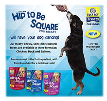 Load image into Gallery viewer, Lucy Pet Hip To Be Square Salmon And Pumpkin Dog Treats 6Oz