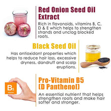 Load image into Gallery viewer, WOW Red Onion Black Seed Oil Shampoo & Conditioner Kit Increase Gloss, Hydration, Shine - Reduce Itchy Scalp, Dandruff & Frizz - No Parabens or Sulfates - All Hair Types (2 x 16.9 Fl Oz / 500mL)