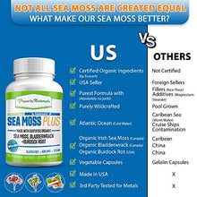 Load image into Gallery viewer, Power By Naturals Certified Organic Sea Moss Plus Supplements with Wildcrafted Irish Sea Moss, Bladderwrack, and Burdock Root, Pure Sea Moss Supplement, Vegan, No Fillers, 60 SeaMoss Powder Capsules