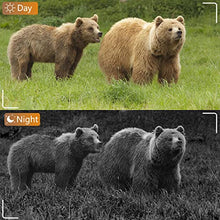 Load image into Gallery viewer, BlazeVideo WiFi Deer & Trail Game Camera 32MP 1296P No Glow Night Vision Time Lapse Waterproof Motion Activated Photo & Video Model for Wildlife Scouting Hunting & Home or Backyard Security
