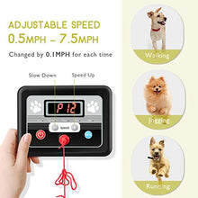 Load image into Gallery viewer, PETSITE Dog Treadmill, Pet Dog Running Machine for Small & Medium-Sized Dogs, Pet Fitness Treadmill with 1.4'' LCD Display Screen, 200 LBS Capacity