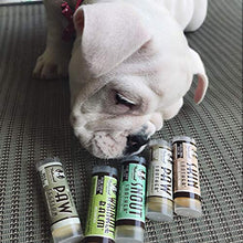 Load image into Gallery viewer, Natural Dog Company Powerhouse Travel Set - 5 Ct. TRIAL Sticks - Organic, All-Natural Healing Balms - Heals Cracked Paw Pads, Skin Fold Dermatitis & Dry Nose