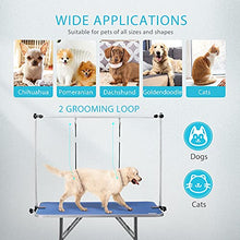 Load image into Gallery viewer, DEStar 45 x 24 Inch Collapsible Pet Grooming Table with Adjustable Height Arm, Noose and Mesh Tray for Large Dogs up to 265 Lbs