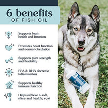 Load image into Gallery viewer, Fish Oil with Vitamin E, Cat and Dog Vitamin for Improved Pet Wellbeing, Joint Health Supplement with Fish Oils, Omega Fatty Acid Supplement, 16 oz. (473 mL) – Fera Pet