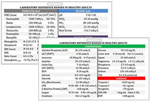 Load image into Gallery viewer, Horizontal Lab Values Plastic Badge Card, Clinical Reference for Nurse, Common Adult Labs Results, RN or Nursing Clinicals, High Quality Glossy Eco-Friendly Teslin, Updated for 2020