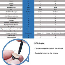 Load image into Gallery viewer, LAIWEN Hearing Amplifier Volume Control Invisible PSAP Noise Reduction CIC Hearing Sound Amplifier for Adults Seniors