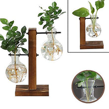 Load image into Gallery viewer, Glass Planter Bulb Vase, Desktop Plant Terrarium Kit with Retro Solid Wooden Stand for Hydroponics Plants Home Garden Office Wedding Decor (Style B)