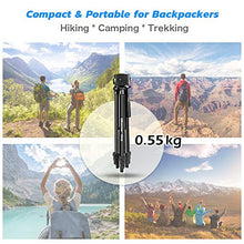 Load image into Gallery viewer, UBeesize Phone Tripod, 51" Adjustable Travel Video Tripod Stand with Cell Phone Mount Holder & Smartphone Bluetooth Remote, Compatible with iPhone/Android (Black)