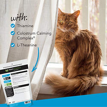 Load image into Gallery viewer, VetriScience Laboratories Composure, Calming Formula for Cats, 30 Bite-Sized Chews
