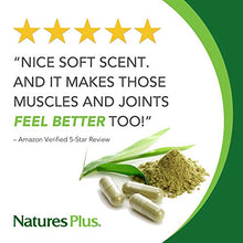 Load image into Gallery viewer, NaturesPlus Advanced Therapeutics Glucosamine Chondroitin MSM Ultra Rx-Joint Cream - 4 oz Jar - High Potency Joint Support Cream - Greaseless - Penetrating Action