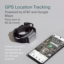 Load image into Gallery viewer, Whistle GPS + Health + Fitness - Smart Dog Collar, Waterproof Dog GPS Tracker Plus Health & Fitness Monitor, 24/7 Pet Tracker, 2 Rechargeable Batteries, Switch (Newest Model), (Black), S/M