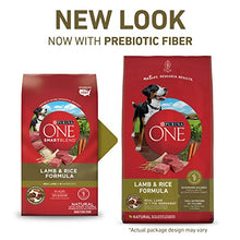 Load image into Gallery viewer, Purina ONE Natural Dry Dog Food, SmartBlend Lamb & Rice Formula - 31.1 lb. Bag
