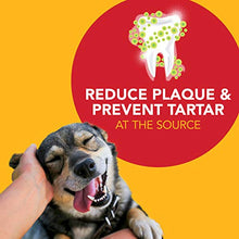 Load image into Gallery viewer, Petrodex Natural Toothpaste Dog - Peanut - 2.5 Oz (DSJ76011)