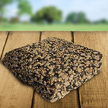 Load image into Gallery viewer, Blue Seal Songbird Surprise Suet Treat Bar | Attracts Wild Birds | 8 oz (12 Pack)