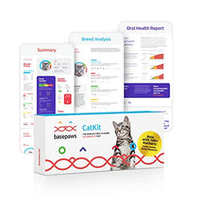 Load image into Gallery viewer, Basepaws Cat DNA Test | Breed + Health + Dental Report | Top Cat Breeds & 115 Health & Trait Markers | As Seen On Shark Tank