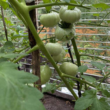 Load image into Gallery viewer, Leberna Emergency Blanket Survival Gear | Foil Mylar Thermal Blankets 59" x 87" inches (Pack of 10) | Big Double Sided Escape Tact Bivvy, | for NASA, Outdoors, Hiking, Space, Marathons First Aid Kit