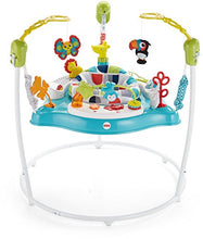 Load image into Gallery viewer, Fisher-Price Color Climbers Jumperoo