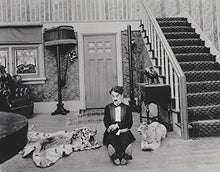 Load image into Gallery viewer, Chaplin's Mutual Comedies (Blu-ray / DVD Combo)