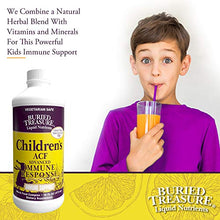 Load image into Gallery viewer, Childrens ACF Rapid Immune Recovery, Immune Booster & Support for Kids, Herbal Blend with Vitamin C Elderberry Enchinacea, 16oz