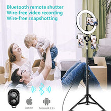 Load image into Gallery viewer, 10" LED Selfie Ring Light with 2 Tripod Stand & 3 Cell Phone Holder 3 Lighting Modes 10 Dimmable Brightness for Live Streaming YouTube Video Photography Makeup Circle Light for iPhone Android Camera