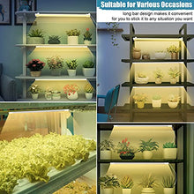 Load image into Gallery viewer, LED Plant Grow Light Strips Full Spectrum Grow Lights for Indoor Plants with Auto On/ Off 3/6/12H Timer, 5 Dimmable Levels 192 LEDs Sunlike Grow Lamp for Hydroponics Succulent, 4 Pack
