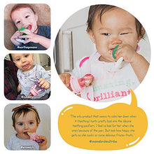 Load image into Gallery viewer, Baby Fruit Feeder Pacifier (2 Pack) - Fresh Food Nibbler, Infant Fruit Teething Toy, Food Grade Silicone Pouches for Toddlers & Kids by Ashtonbee