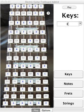 Load image into Gallery viewer, Electric Guitar Fretboard Addict