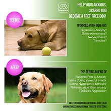 Load image into Gallery viewer, happyGree Best Calming Treats for Dogs: Product of USA- Helps with Hyperactive & Aggressive Behavior + Anxiety Composure Relief, Storms, Barking, Separation and More- approx/170 Soft Chews