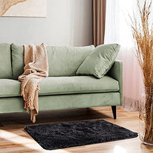 Load image into Gallery viewer, Ophanie Small Area Rug, 2 x 3 Feet Throw Rug, Fluffy Shag Fuzzy Soft Black Rugs for Bedroom, Plush Shaggy Bedside Indoor Floor Room Carpet for Kids Baby Teen Dorm Home Decor Aesthetic, Nursery