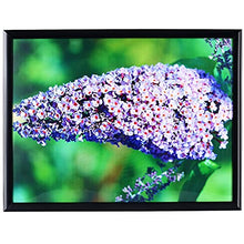 Load image into Gallery viewer, Medog 9x12 Picture Frame Set of 1, 9x12 Inch Black Picture Frames Display Pictures 9x12 Without Mat Wall Mounting Document Certificate Frames If You Add Mat for 8x10 7x11 7x9 Picture Frame 9x12" (P1P BA)