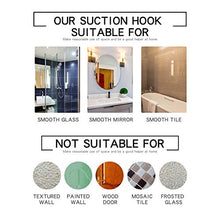 Load image into Gallery viewer, Ettori Shower Squeegee Clear Glass Wall Cleaner Stainless Steel with Suction Storage Hook -10'', Chrome