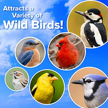 Load image into Gallery viewer, Blue Seal Songbird Surprise Suet Treat Bar | Attracts Wild Birds | 8 oz (12 Pack)