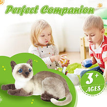 Load image into Gallery viewer, CozyWorld Siamese Cat Stuffed Animals Realistic Small Cat Cute Plush Toys Birthday for Kids Gifts for Boys and Girls, Gray, 11’’